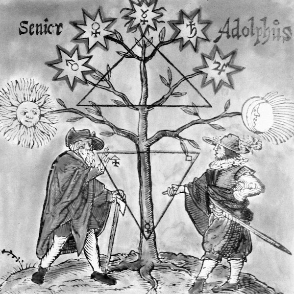 alchemical tree. jungian analyst