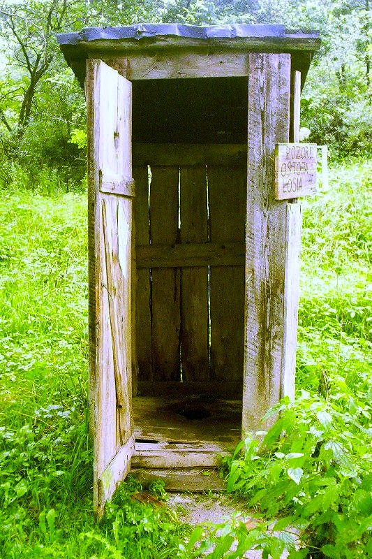 wood outhouse.jungian psychoanalysis